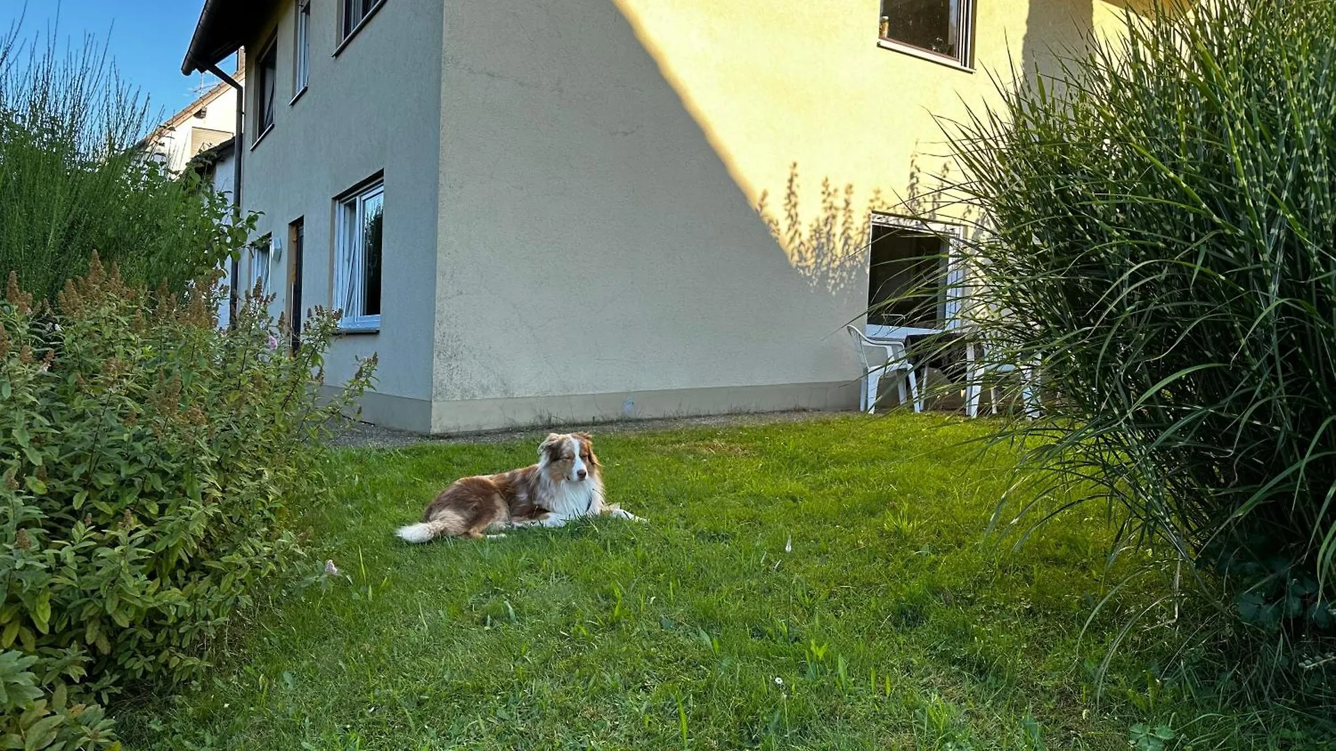 Ferienwohnung Am Romberg Lohr am Main Apartment